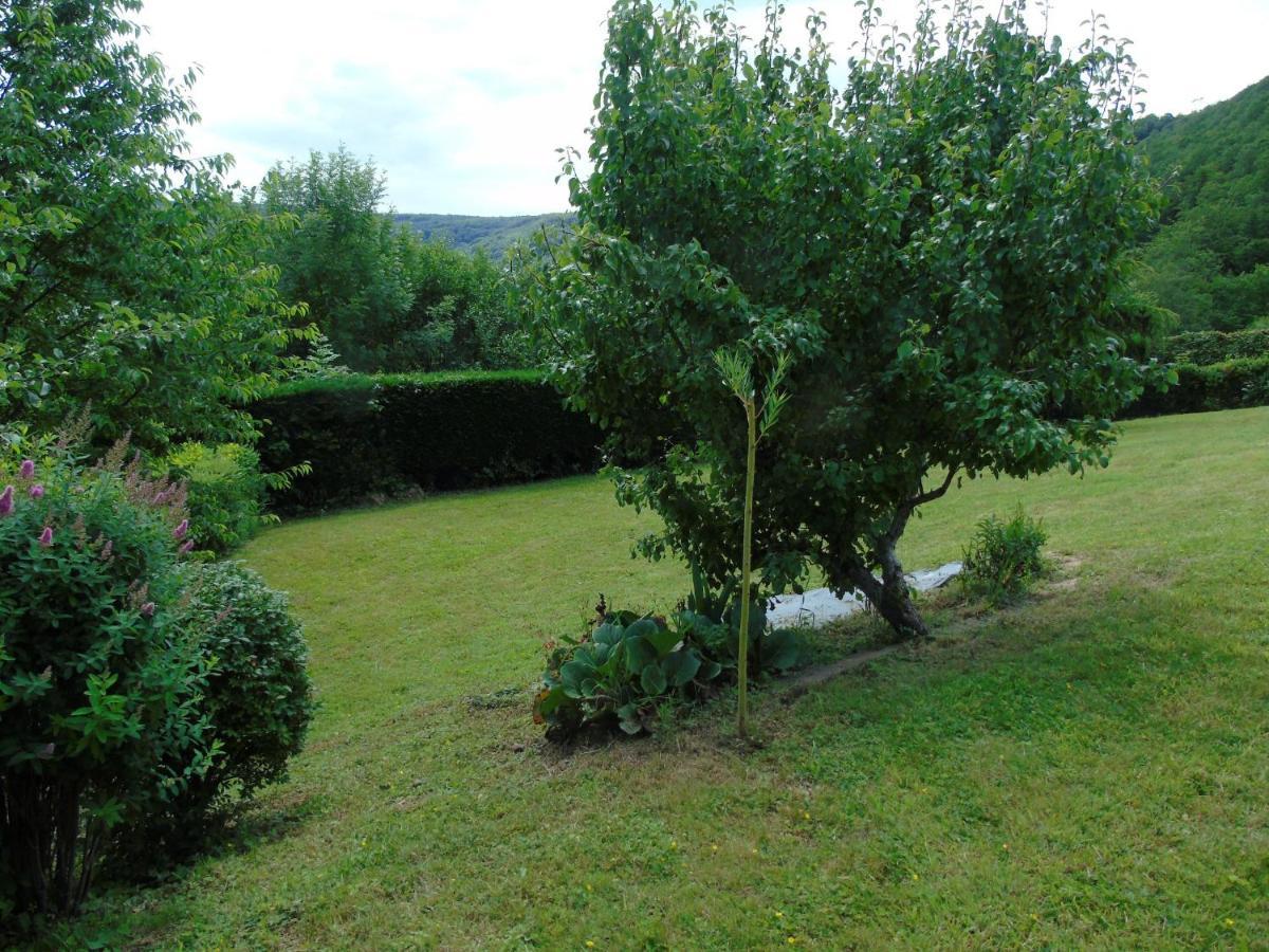 Maison L'Hirondelle Rustique A Tournavaux Экстерьер фото