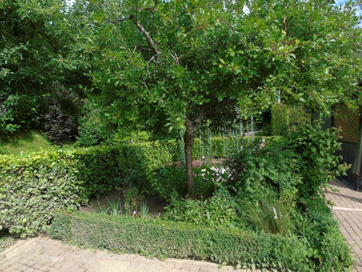 Maison L'Hirondelle Rustique A Tournavaux Экстерьер фото